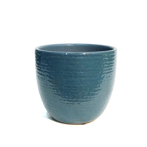 Pot, 6In, Carrie, Blue