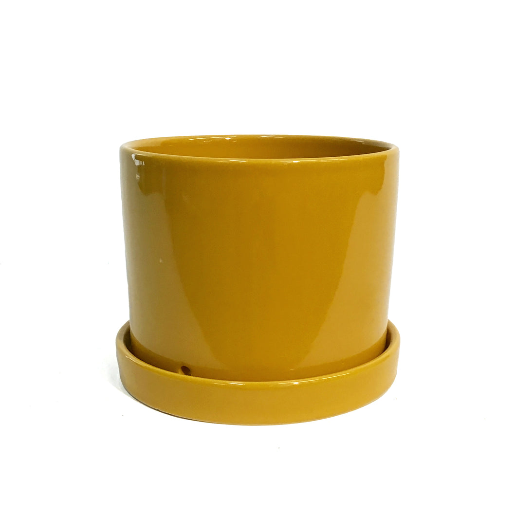 Pot, 6In, Capri, Mustrd