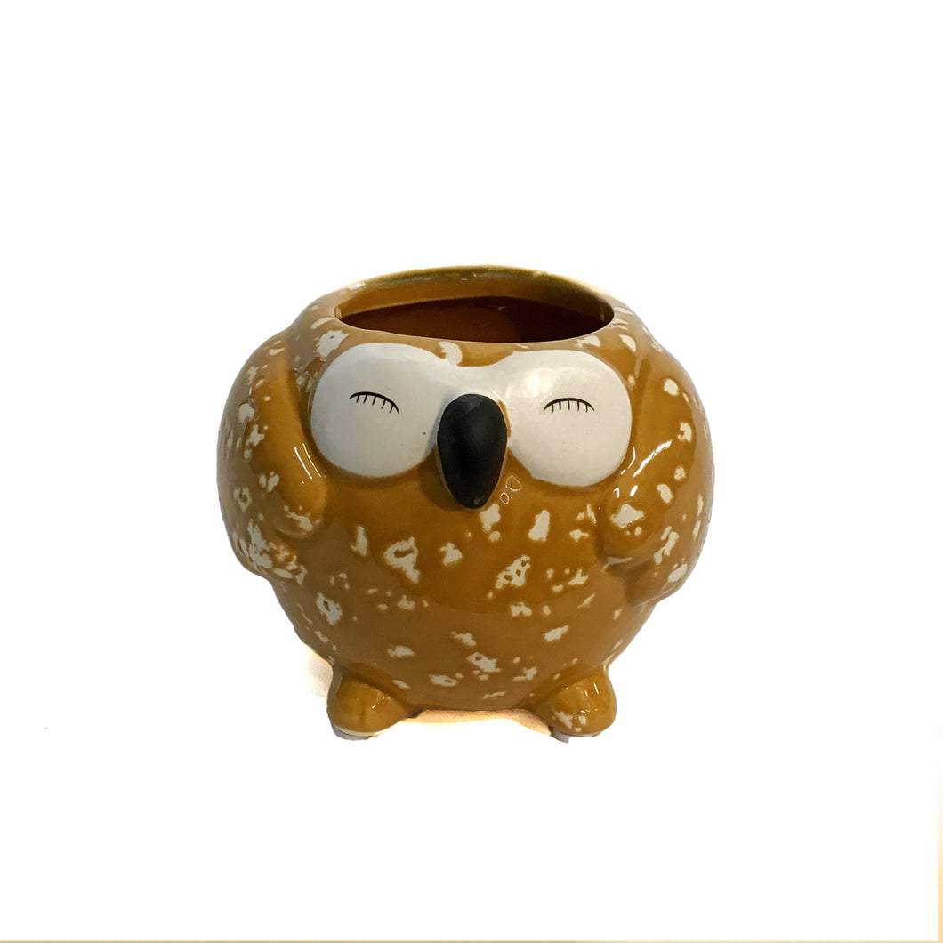 Pot, 4in, Owl, Yellow