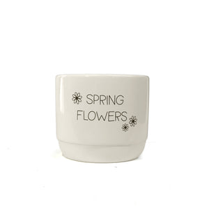 Pot, 4in, White, Spring Flowers