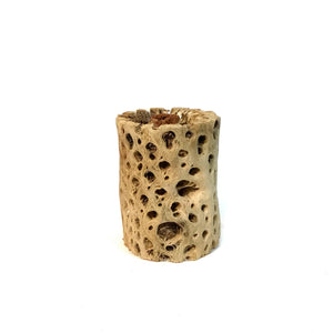 Tillandsia Cholla Wood Holder