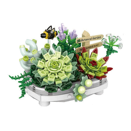 Potted Succulent Plants