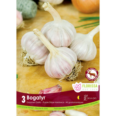 Garlic -Bogatyr Bulbs, 3 Pack