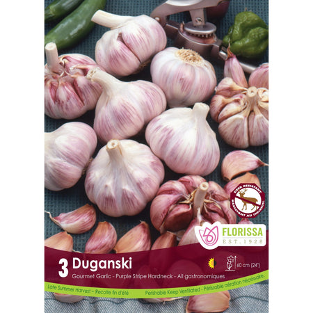 Garlic -Duganski Bulbs, 3 Pack