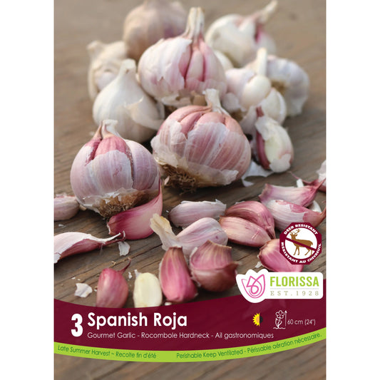 Garlic - Spanish Roja Bulbs, 3 Pack