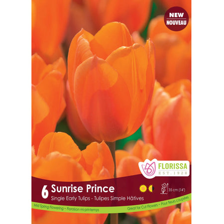 Tulip,Single Earlyi -Sunrise Prince Bulbs, 6 Pack