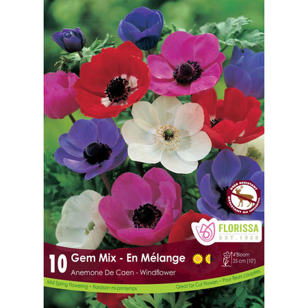 Anemone - De Caen Mix Bulbs, 10 Pack