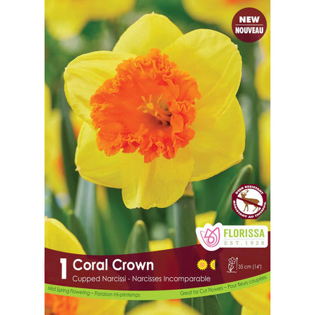 Narcissi - Coral Crown Bulb,