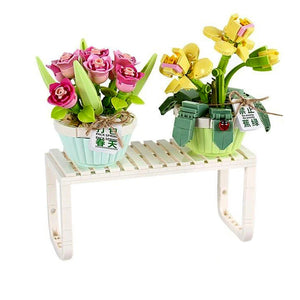 Spring Tulip Orchid