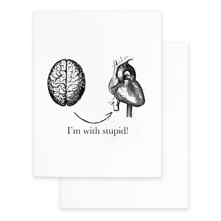 I'm With Stupid