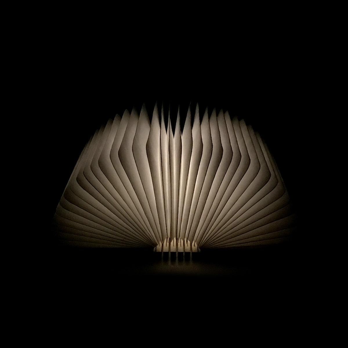 Mini Smart Book Light