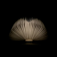 Load image into Gallery viewer, Mini Smart Book Light
