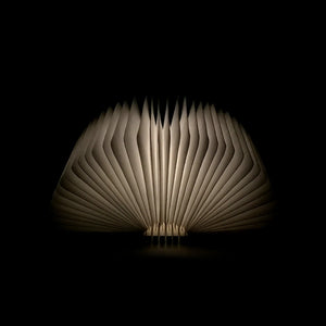 Mini Smart Book Light