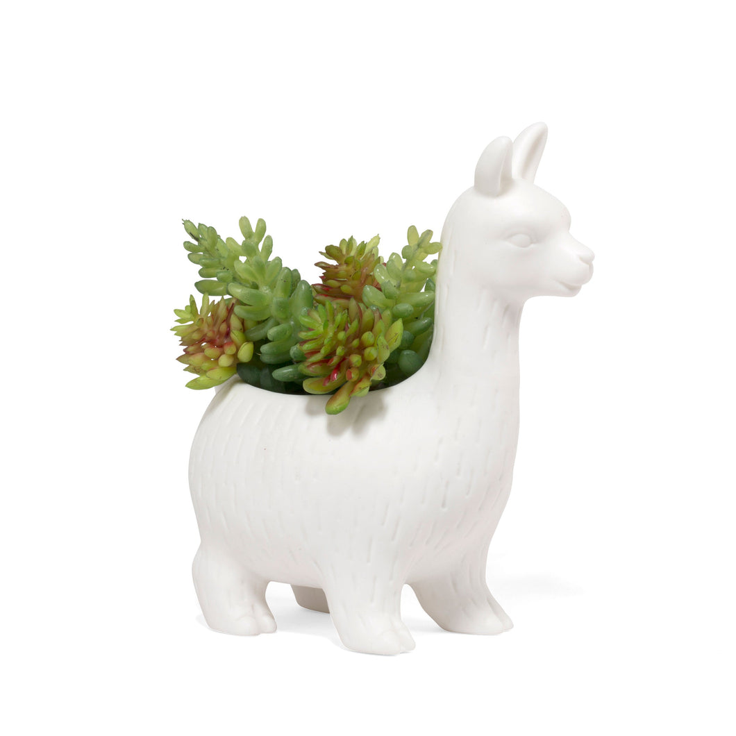 Planter, Lloyd The Llama