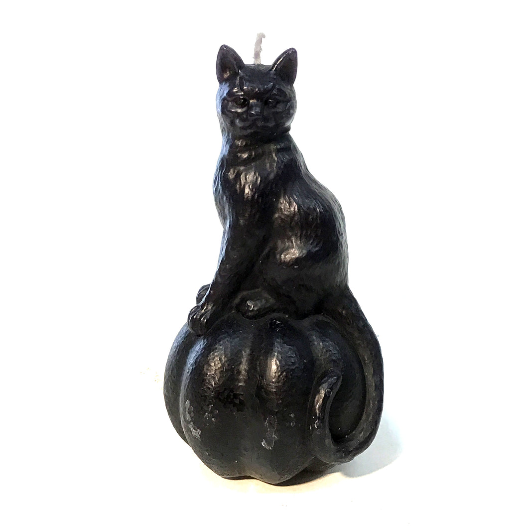 UNSCENTED CAT ON PUMPKIN SHAPED CANDLE; B