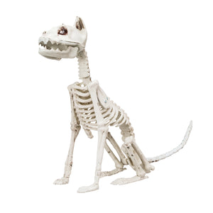 Decor Cat Skeleton