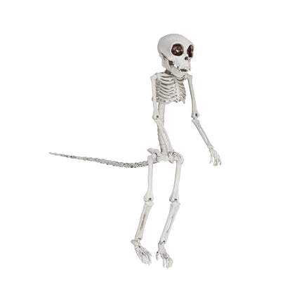 Decor Monkey  Skeleton