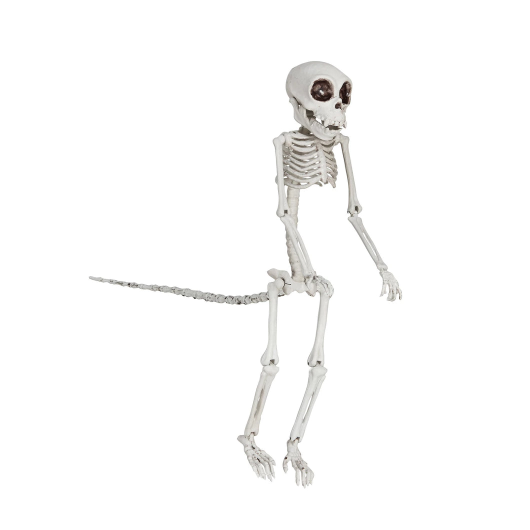 Decor Monkey  Skeleton