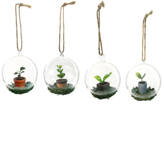 Oranment, Gardens Start Sprouts & Moss