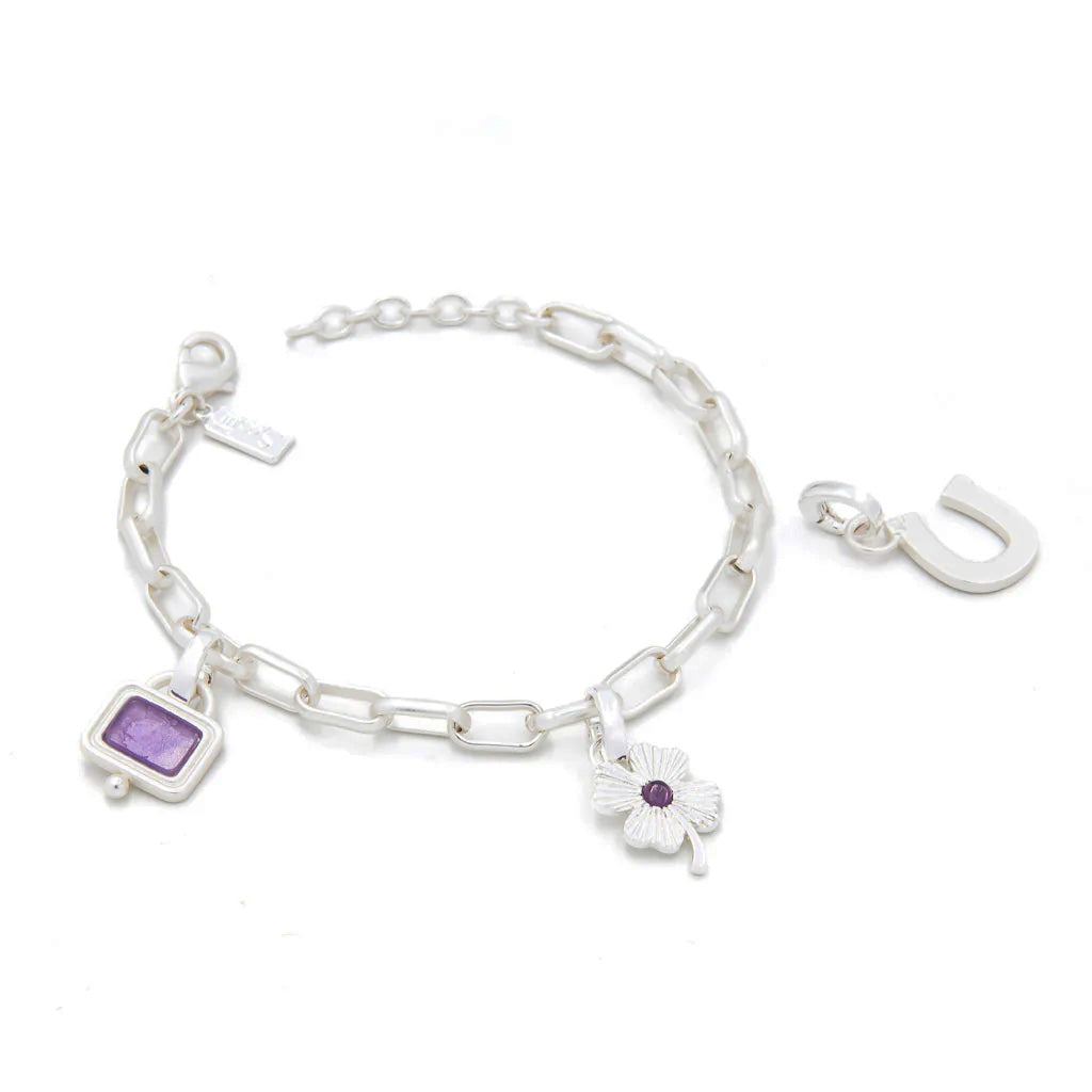 Interchangleable Charm Bracelet