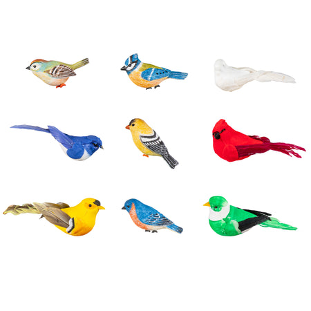 Song Bird Magnet, 9 Styles