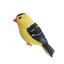 Load image into Gallery viewer, Song Bird Magnet, 9 Styles
