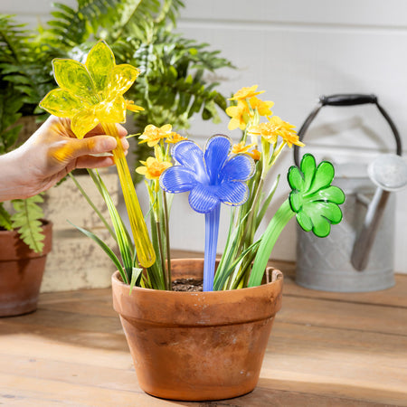 Glass Flower Plant Watering Channel, 3 Styles