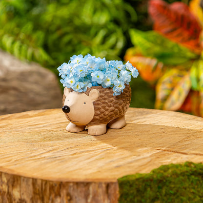 Hedgehog Planter 4.5"x 6.89"x 3.5"