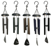 Load image into Gallery viewer, Chime Sig Series, Flack Assorted
