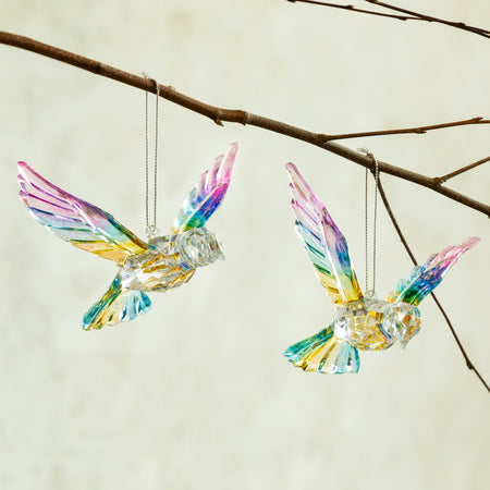 Hummingbird Acrylic Hanging Decor 5in 2 Assorted