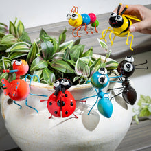 Load image into Gallery viewer, Jolly Bug  Pot Hugger, 6 Assorted
