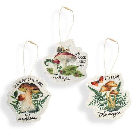 Compressed Mushroom Sponge, 3Ast