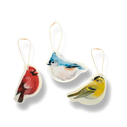 Compressed Bird Sponge, 3Ast