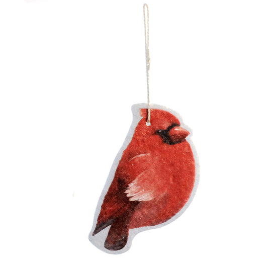 Compressed Bird Sponge, 3Ast