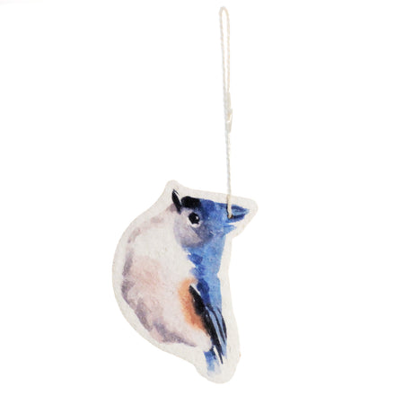 Compressed Bird Sponge, 3Ast