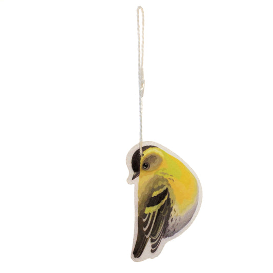 Compressed Bird Sponge, 3Ast