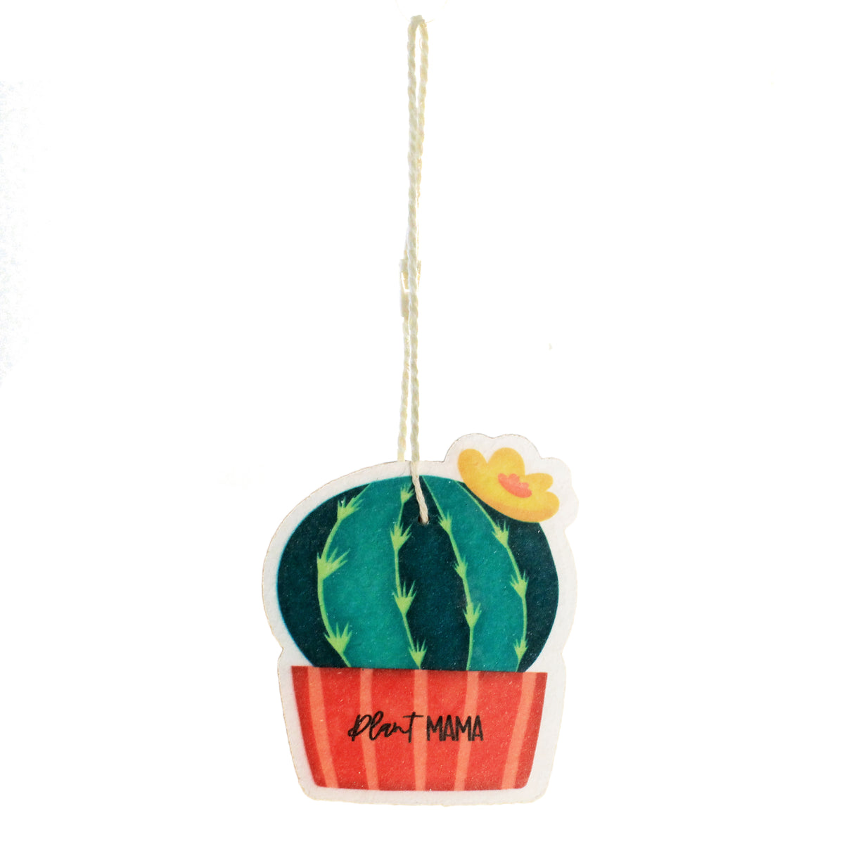 Compressed Planters Sponge, 3Ast