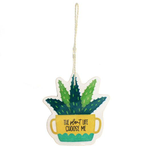 Compressed Planters Sponge, 3Ast