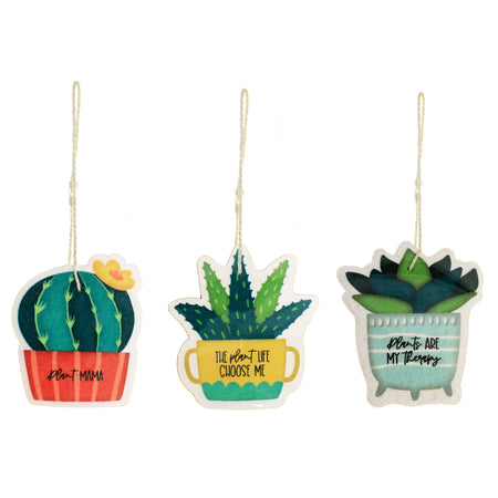 Compressed Planters Sponge, 3Ast