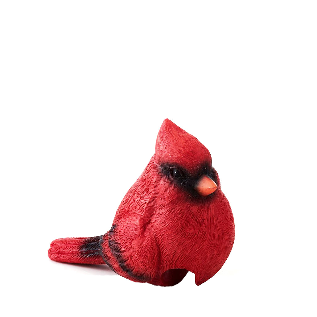 Pot Hugger, Colorful Birds, Ast