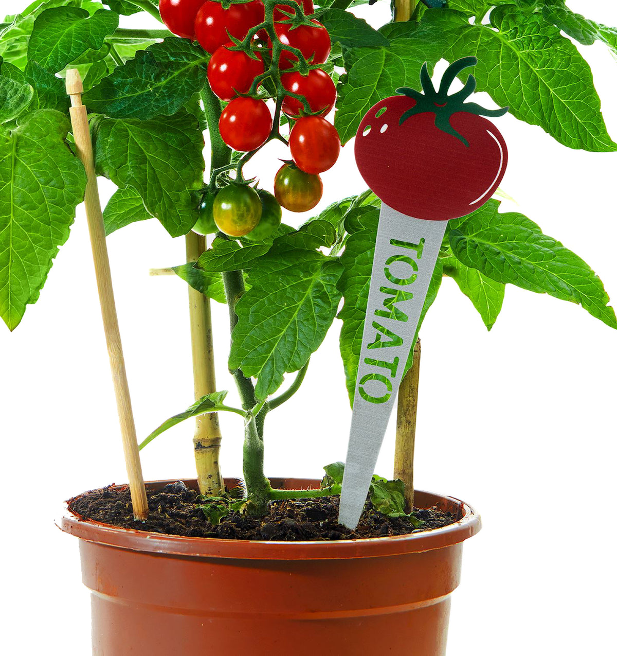 Veggie Plant Marker, 6 Asst