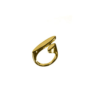 Abstract Ring