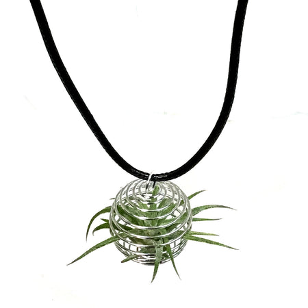 Tillandsia Tilly Necklace