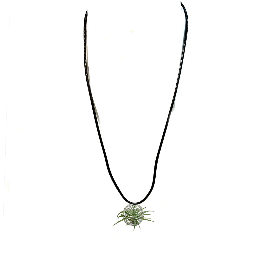 Tillandsia Tilly Necklace