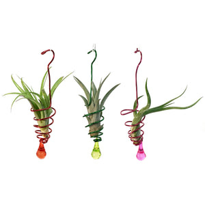 Tillandsia Deco Hanging Bead Wire