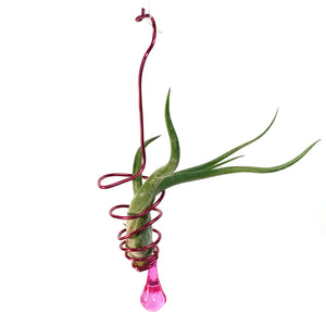 Tillandsia Deco Hanging Bead Wire