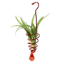 Load image into Gallery viewer, Tillandsia Deco Hanging Bead Wire
