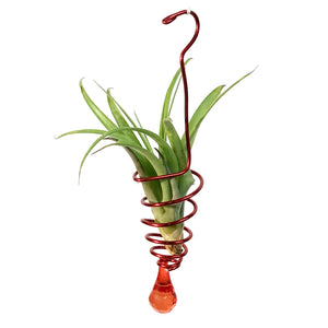 Tillandsia Deco Hanging Bead Wire