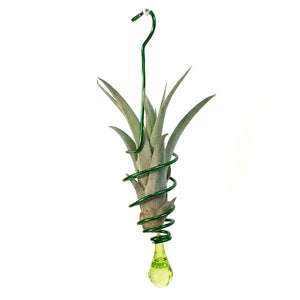 Tillandsia Deco Hanging Bead Wire