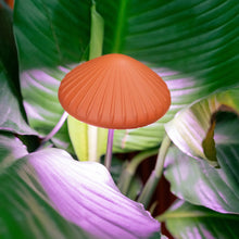 Load image into Gallery viewer, Mushroom Grow Light
